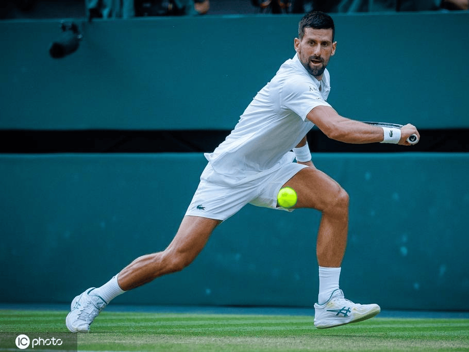 德约科维奇爆冷击败曼联，出色防守引爆全场！的简单介绍